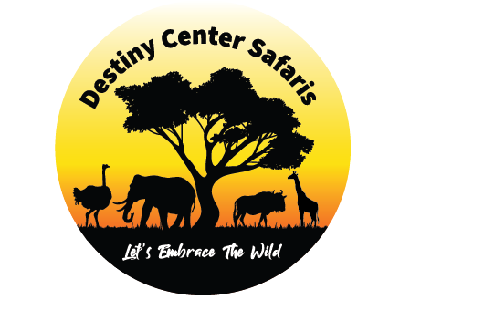 Destiny Center Safaris