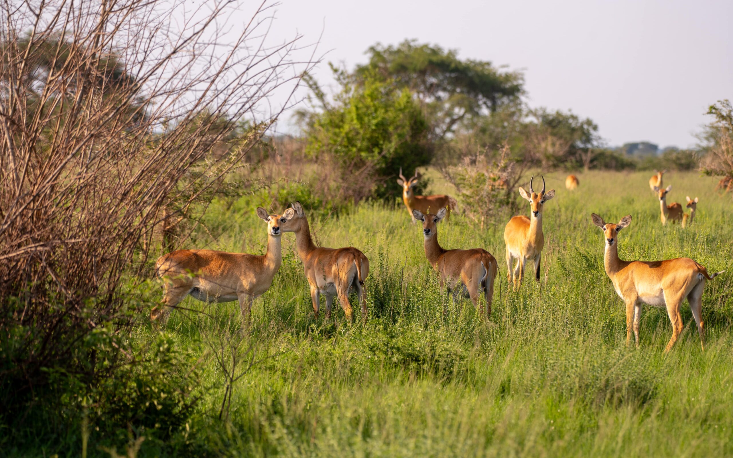 3 DAYS TRIP TO LAKE MBURO photo