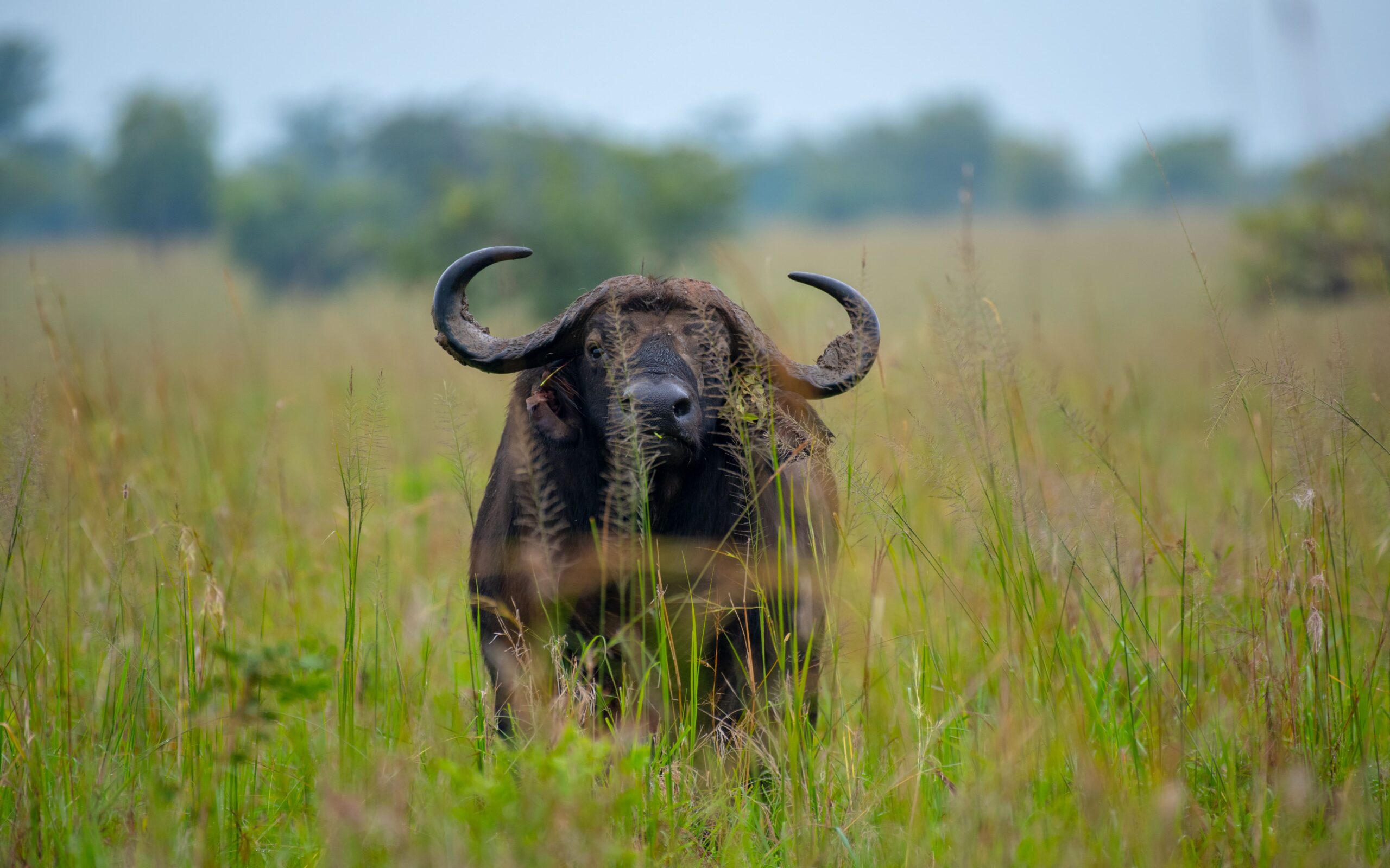 3 DAYS TRIP TO LAKE MBURO photo